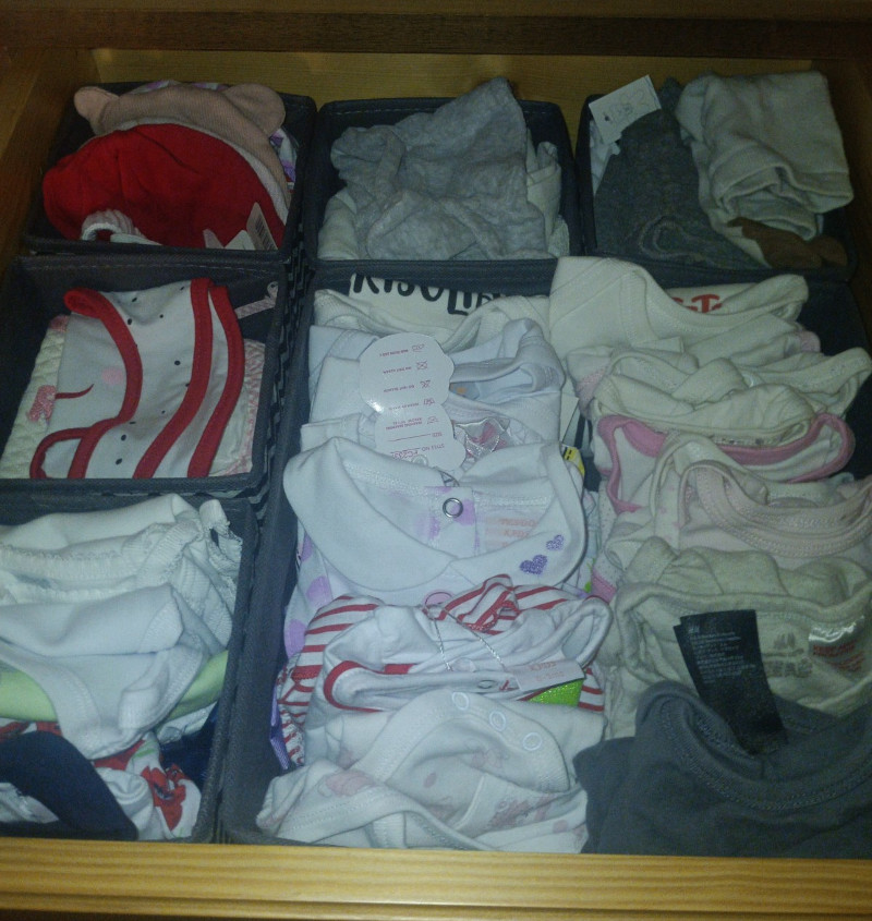 organizer