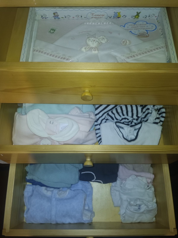 organizer